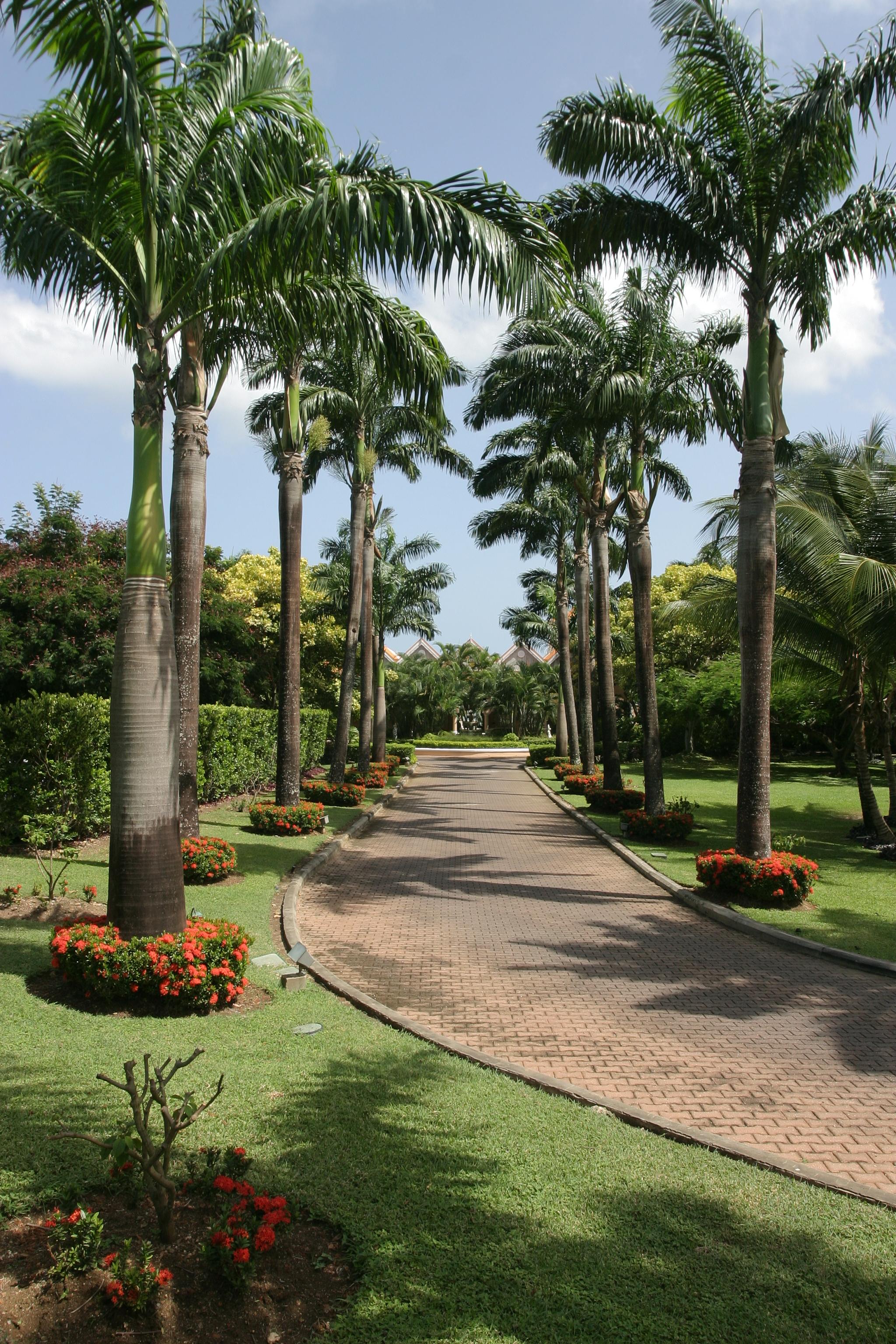 Coco Reef Resort & Spa Crown Point Exterior foto